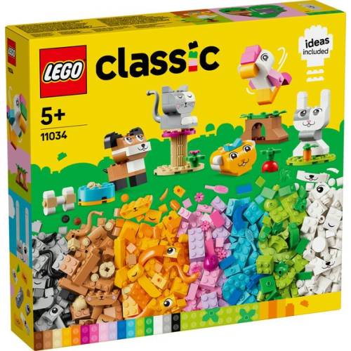 Animais de estimação criativos