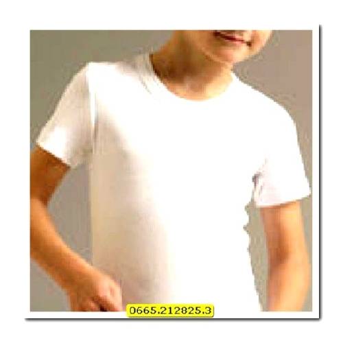 Körper M/M Tg 3 - Stck. 3