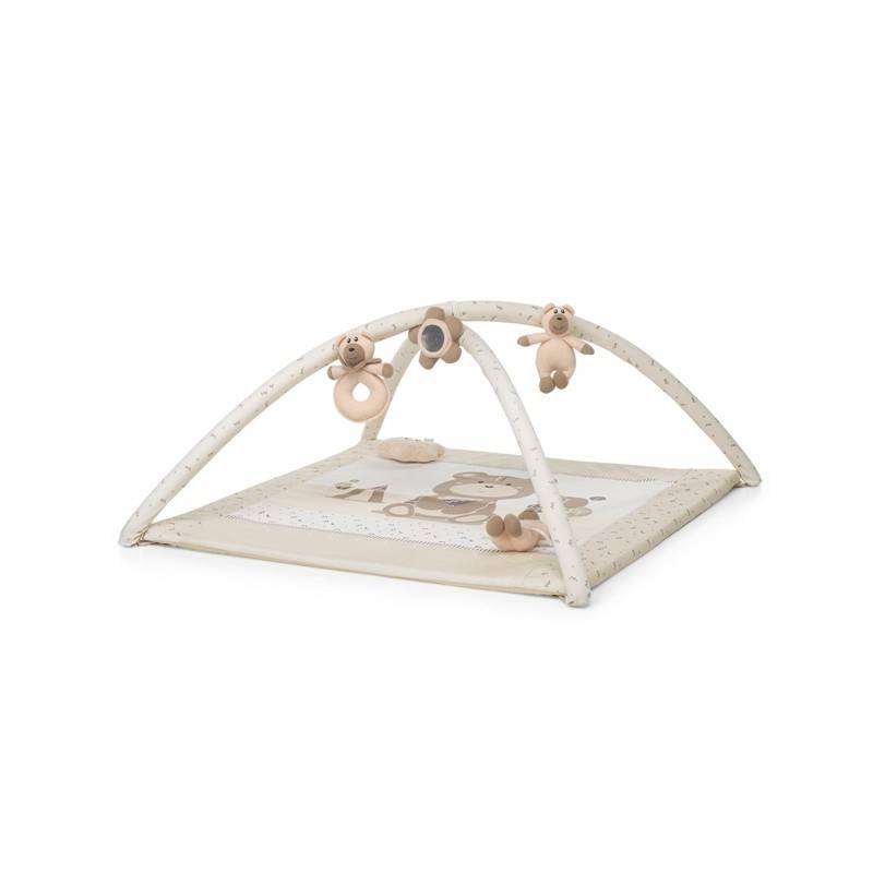 Entrenador Palestrina Augh