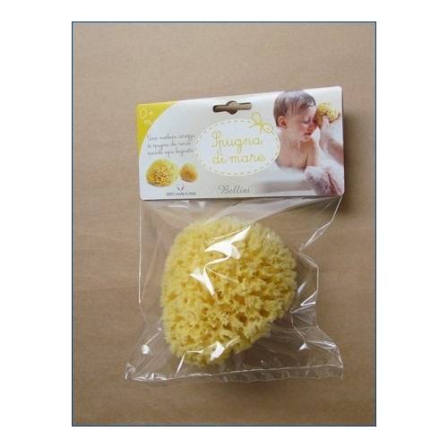 Sponge Size 10