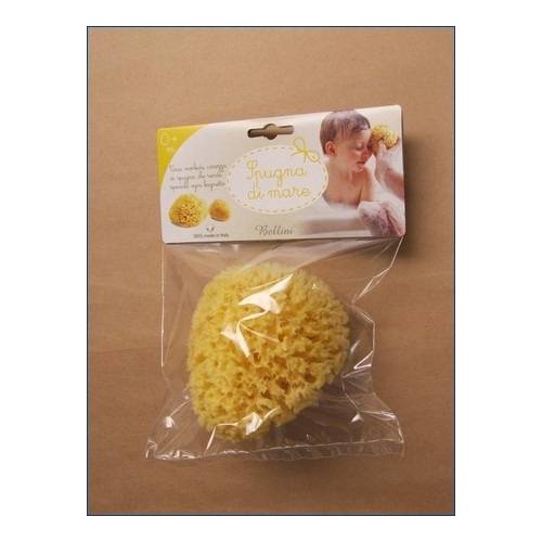 Spugna Mis.12
