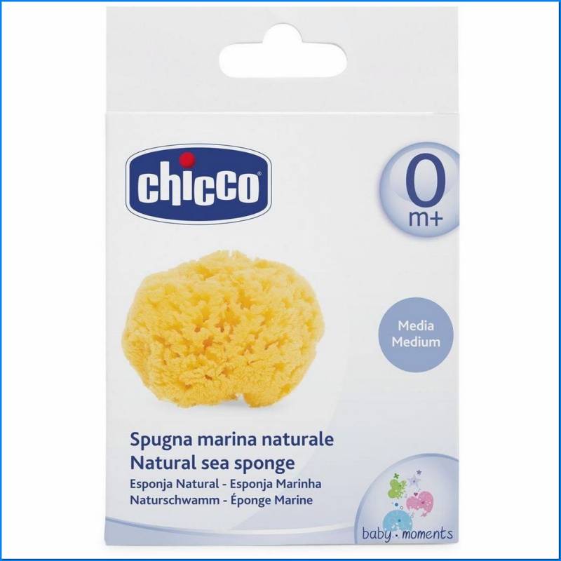 Natural Sea Sponge