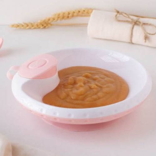 Dish 17cm Pink