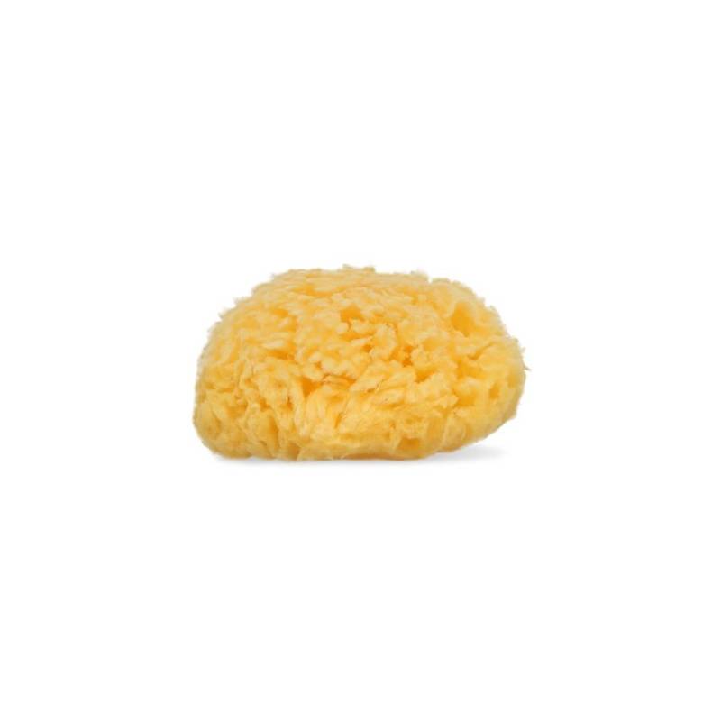 Natural Sponge