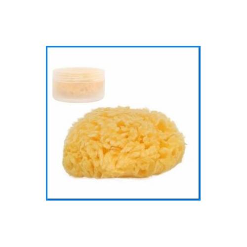 Spugna Naturale Corredino Inc.Scat.