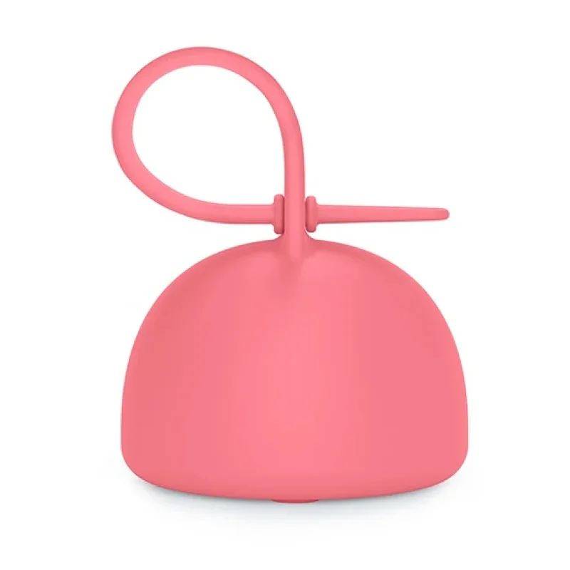 Soother Box Sil Fuchsia